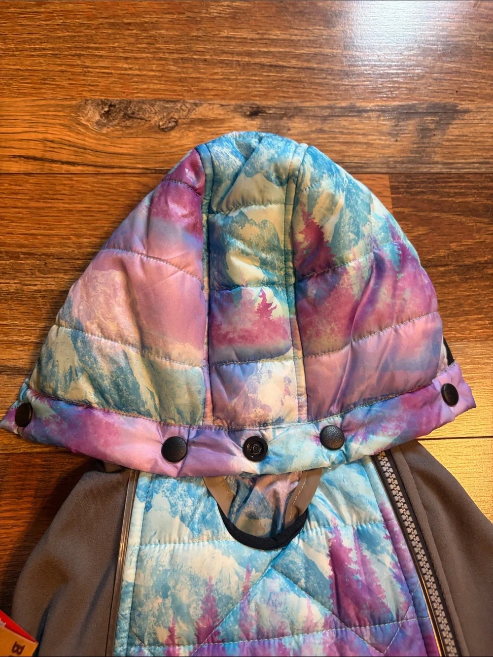 Dogs Colorful Tie-Dye Hooded Jacket - Multicolor